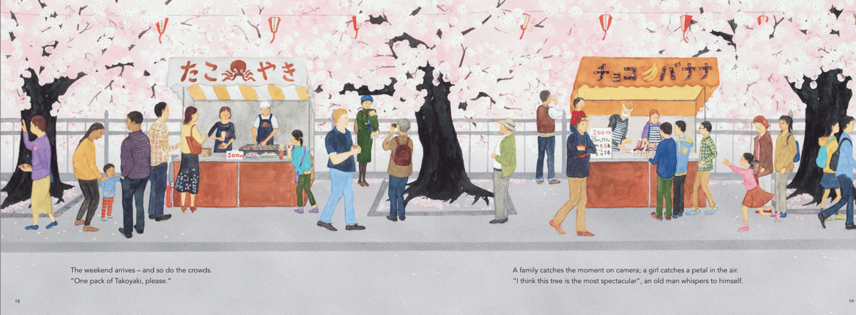 Sakura 2025 bloom reviews